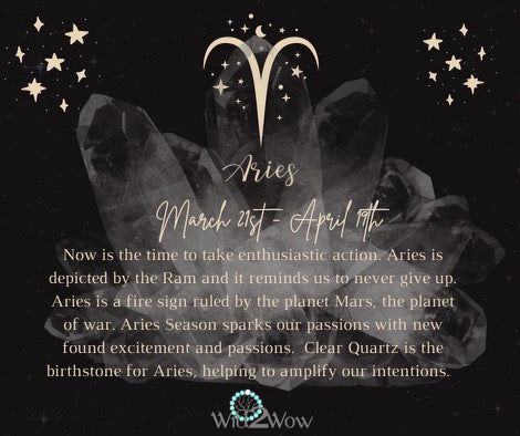 ♈ New Moon in Aries & the Spring Equinox 🌼